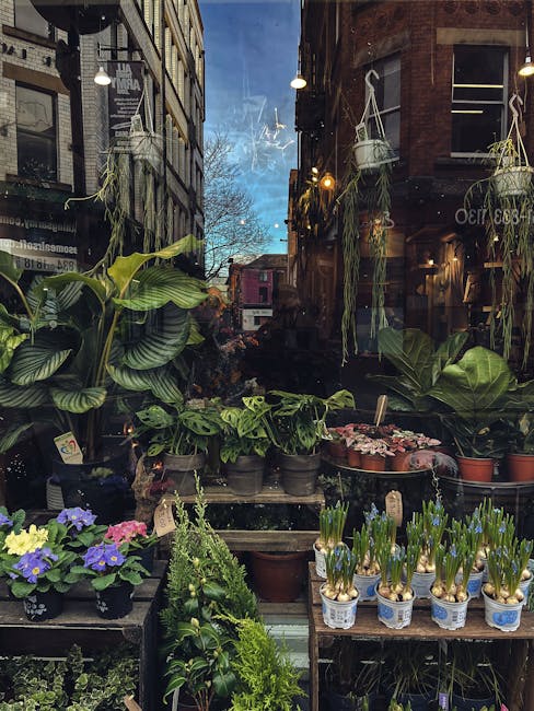 A florist shop window displaying a variety of fresh potted plants and flowering arrangements, including purple, yellow, and pink primroses, green leafy plants, and bulbs with emerging shoots in small