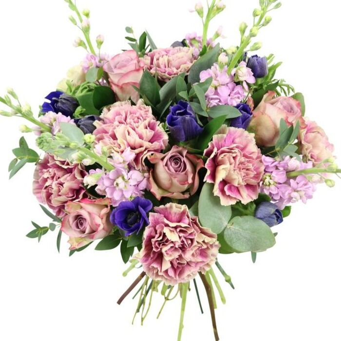 A carefully composed bouquet is displayed against a pure white background, every flower and leaf in crisp focus, echoing the thoughtful style of a boutique florist in Islington. At its centre, large garden roses in soft blush pink and vintage dusty mauve are fully open, their spiralled petals layered like folded silk to form a romantic focal point. Encircling these roses, plentiful carnations create a halo of texture and volume; their petals are finely ruffled and shaded from creamy beige to gentle blush and then to deeper rosy and plum-pink edges, giving the bouquet both softness and depth. Interspersed among the pinks are striking deep indigo-blue blooms shaped like small tulips, adding sculptural interest. Near the lower front sits a single royal blue anemone, fully open, its almost black centre providing a dramatic, eye-catching contrast. Delicate stems of stock in lilac and pale lavender emerge through the bouquet, the many tiny blossoms clustered along each stem offering lightness and vertical movement, as if the flowers were stretching towards a window overlooking Upper Street or Islington Green. The arrangement is richly framed by foliage: dark, glossy green leaves support and separate the blooms, while round, silvery eucalyptus leaves soften the edges and introduce a cool, subtle fragrance that suggests fresh air drifting in from Highbury Fields. The stems at the base are neatly gathered and tied, clearly visible to show that this is a true hand-tied design, ready for delivery throughout Islington. With its layered pinks, serene purples, dramatic blues, and fresh greens, the bouquet feels ideal for weddings, anniversaries, sophisticated birthdays, or simply bringing a sense of refined calm to a home near Angel or Canonbury.